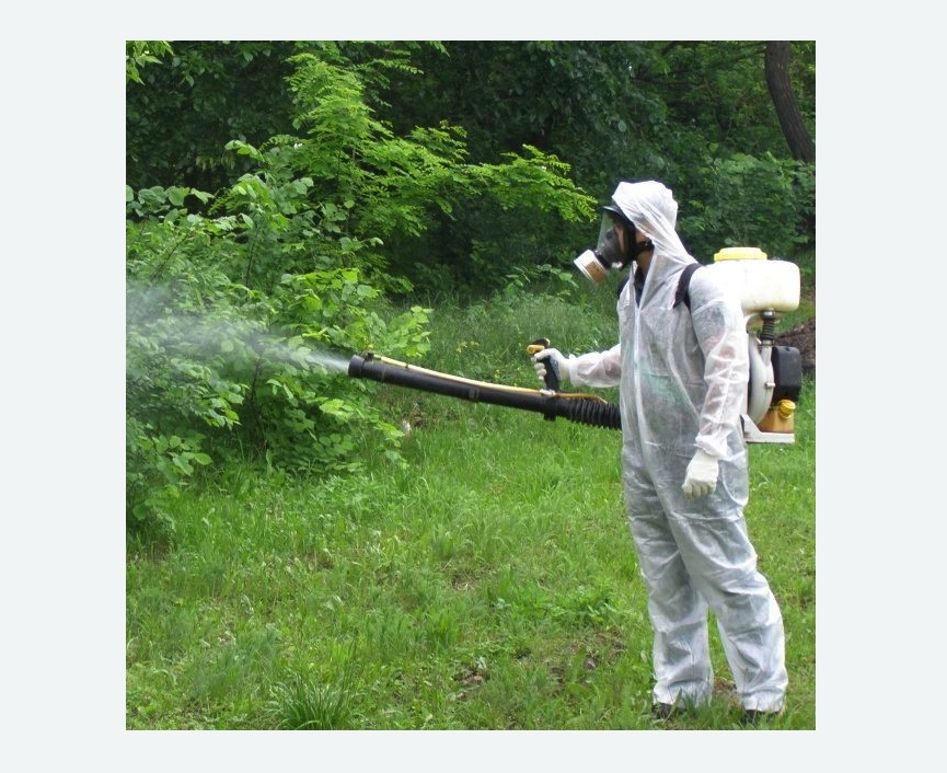 обработка территории от клещей в Нижегородском районе Москвы