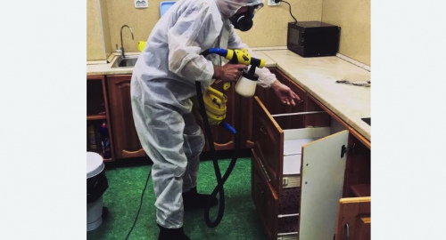 Уничтожение насекомых в квартире. Нижегородский район 