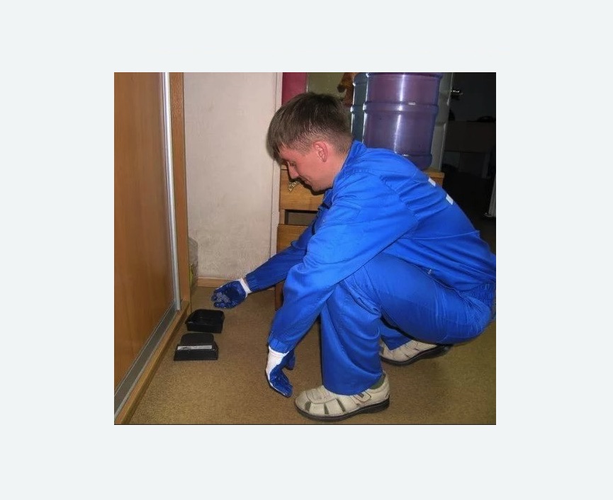 Дератизация крыс в Нижегородском районе Москвы