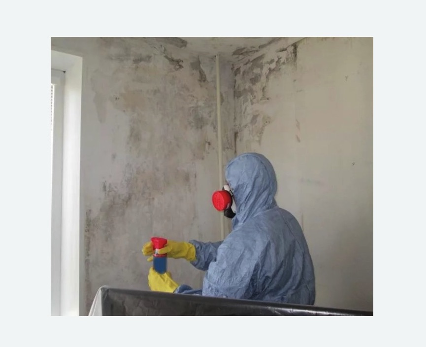 Удаление плесени в квартире в Нижегородском районе Москвы