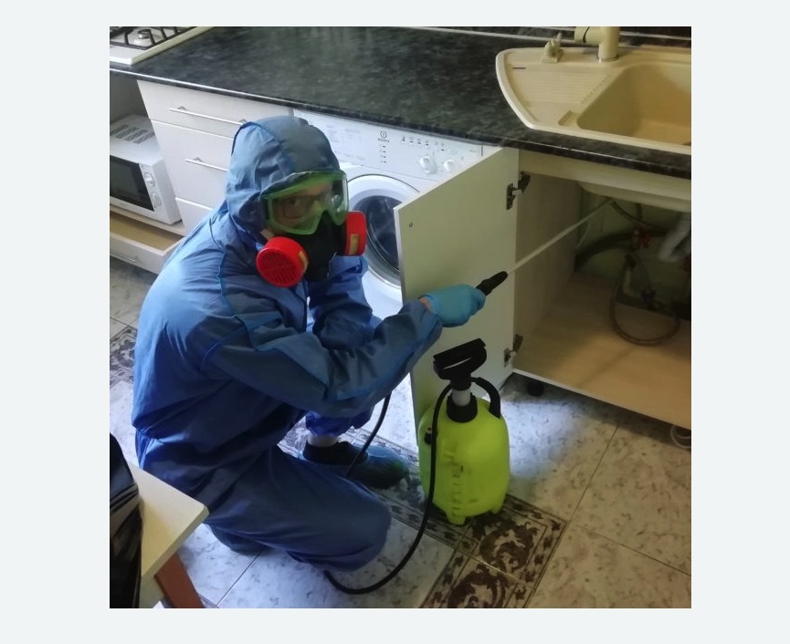 обработка от муравьев в квартире в Нижегородском районе Москвы